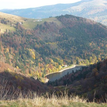 Chalet Trois Etoiles Xonrupt-Longemer Zewnętrze zdjęcie